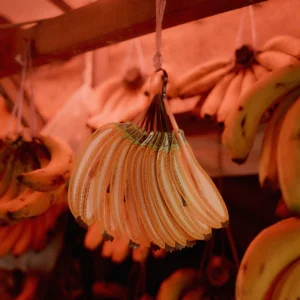 PUBUMESU - BANANA