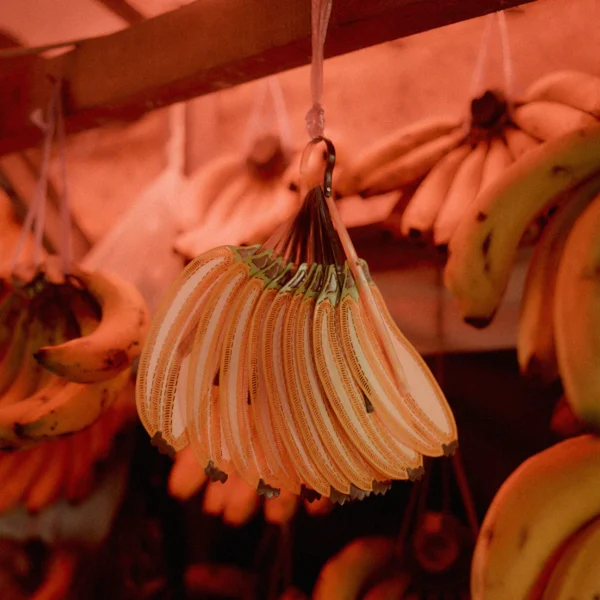 PUBUMESU - BANANA