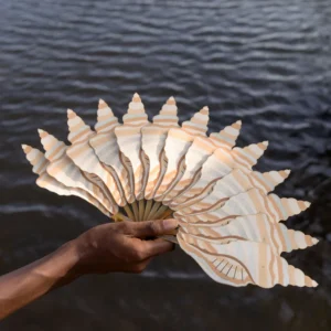 PUBUMESU - CONCH SHELL
