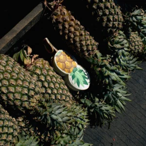 PUBUMESU - PINEAPPLE
